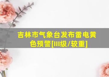 吉林市气象台发布雷电黄色预警[III级/较重]